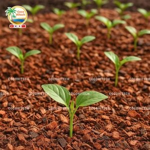เศษมะพร้าวธรรมชาติย่อยสลายได้สำหรับการปลูกต้นไม้ในสวน คุณภาพสูง ราคาดีที่สุด - Product Image 5