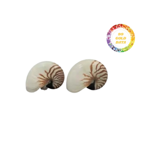 Conchas marinas Nautilus pulidas con abulón natural en tamaño grande para una elegante decoración costera del hogar y uso artesanal creativo - Product Image 4