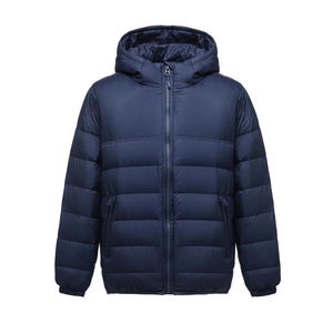 Veste d'hiver rembourrée confortable de haute qualité pour hommes Sweat à capuche en molleton imprimé et manteau en duvet pour femme avec col montant High Street - Product Image 1