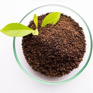 Vietnamese Assam Fermented Black <b>Tea</b> High-grade SCF Brand Healthy Slimming <b>Tea</b> in Box Bag Sachet Packaging - Product Image 1