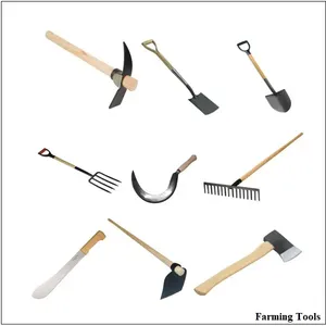 Hiệu quả cao cây TRỒNG THU HOẠCH máy móc nông nghiệp và trang trại thu hoạch thiết bị nông nghiệp thực hiện cho xuất khẩu - Product Image 2