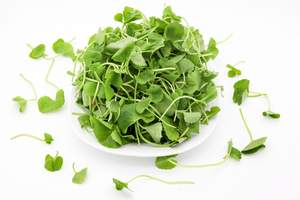 JUGO DE PENNYWORT CONGELADO DE HIERBAS NATURALES/LISTO PARA BEBER/GRADO PREMIUM/SUMINISTRO AL POR MAYOR - Product Image 3