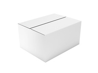 CAJA CORRUGADA BLANCA