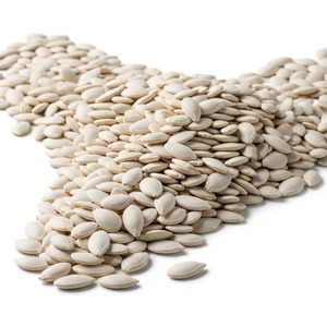 Graines de citrouille naturelles de haute qualité, graines comestibles pour collations, salades, pâtisseries, approvisionnement en vrac pour les acheteurs, livraison rapide - Product Image 4