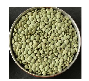 Lentilles séchées entières de qualité supérieure en vrac, lentilles rouges, lentilles vertes - Product Image 6
