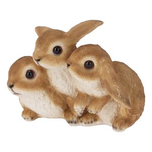 Fiche technique des produits en résine Leprotti 795420040 pour 1 pièce Koopman Leprotti - Product Image 1