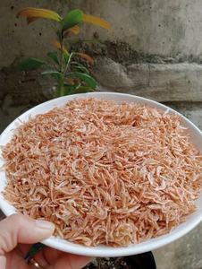 CREVETTES SÉCHÉES DE HAUTE QUALITÉ DU VIETNAM - TAILLE, COULEUR ET SAVEUR CONSISTENTE - Product Image 6