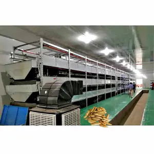 Automatic Commerical Black Soldier Fly Protein Farming Equipment Breeding Feeding Box Production Line