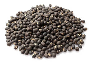 Haricots noirs de qualité supérieure, idéaux pour les acheteurs en gros, les producteurs alimentaires, les grossistes, les détaillants à la recherche de nutriments et de protéines élevées - Product Image 3