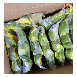 Avocat congelé le plus vendu pour l'exportation, avocat congelé IQF, avocat congelé 034 avec emballage personnalisé du Vietnam - Product Image 4