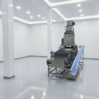 RVS notenverwerkingsmachine met transportband voor industrieel gebruik, ook geschikt voor levensmiddelen
