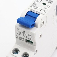 Disjoncteur Chint NXB-40, interrupteur à air 1P+N, usage domestique, double entrée/sortie DPN, modèle amélioré DZ267, courbe BCD, sans coupure