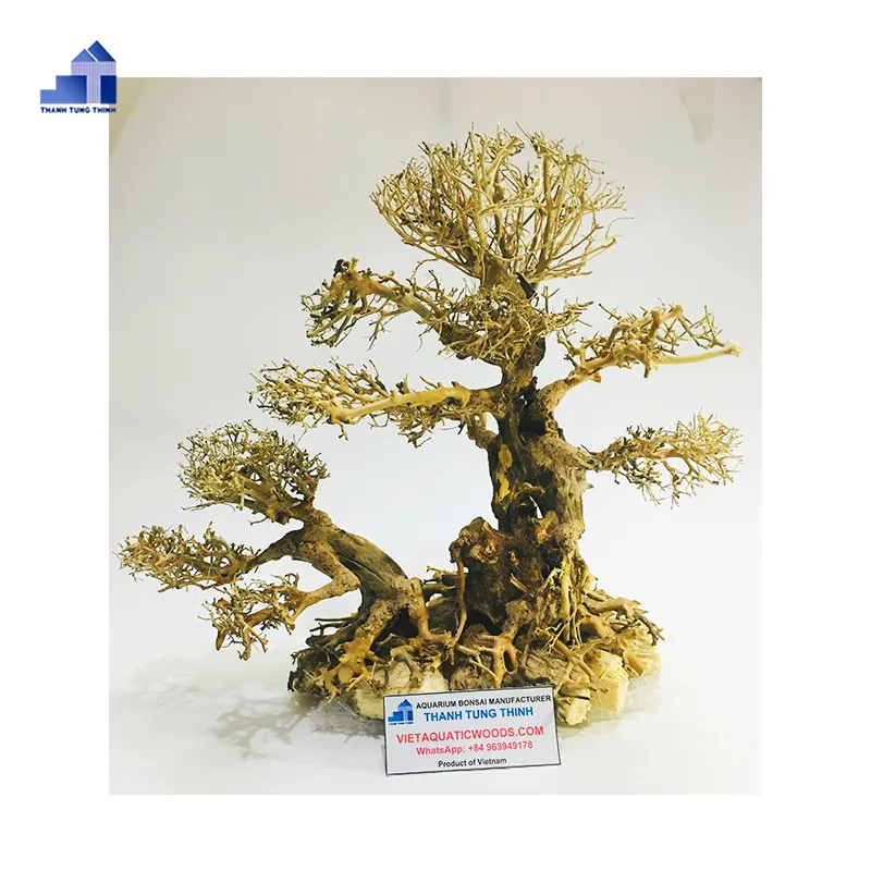 Productos calientes 2024 para pecera Bonsai Driftwood Tree para pecera a la venta para mayorista WhatsApp: + 84 961005832