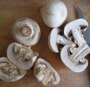 Chất lượng cao Thổ Nhĩ Kỳ Hoang Dã boletus porcini nấm khô và nguyên trồng khỏe mạnh và ngon cho nông nghiệp sử dụng - Product Image 3