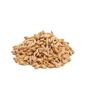 Hulled Wheat | Organic Wheat Cereals in Bulk ( Client Packaging)