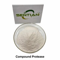 Poudre d'enzyme protéase composée de qualité alimentaire 200 000 U/g pour la hydrolyse des protéines