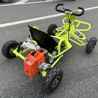 En stock, buggy de sport d'hiver, buggy de ferme, voitures pas chères pour adultes