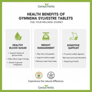 ยาเม็ดจิมเนมา ซิลเวสเตร ความบริสุทธิ์สูง สารสกัดสมุนไพรธรรมชาติ ควบคุมระดับน้ำตาลในเลือด รับผลิตแบบ OEM แบรนด์ส่วนตัว อาหารเพื่อสุขภาพแบบขายส่ง - Product Image 5