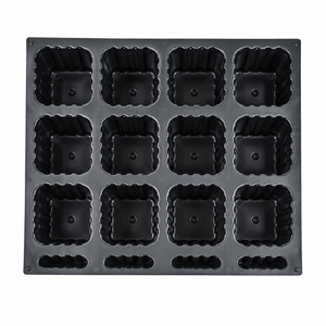 Plateau de semis pour plantes d'arboricultura, dégradable, 12 trous, en plastique, profond, pour pépinière - Product Image 5