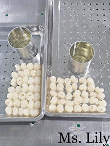 Longane en conserve en vrac OEM au sirop, volume d'exportation élevé disponible | Mme Lily - Product Image 5