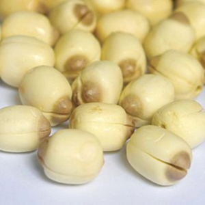 Best Seller Exporting Standard Frozen Lotus <b>Nut</b> with Reasonable Price - Product Image 6