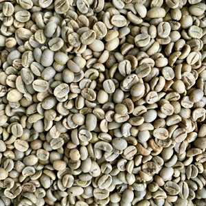 Proveedor Vietnamita: Granos de Café Verde Arábica S16, Totalmente Lavados, Grado 1, Cosecha 25-26, Empaque a Granel 60 kg/saco de yute - Product Image 2