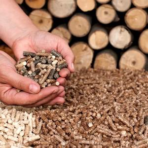 Pellets de madera de calidad exportable como combustible de biomasa para los mercados globales - Product Image 4