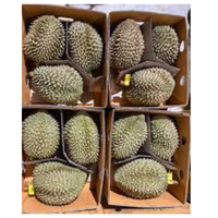 Fruit Witte Bulk Lassen Alle Verse Verse Vers Vers Vers Fruit Rijk Rijk Rijk Rijk 6 Vietnam Kwaliteit Type Een Export Ons Markt