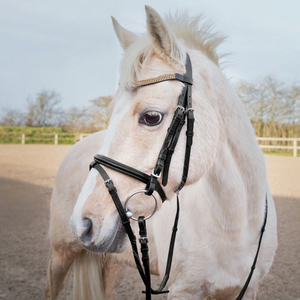 Bride de cheval sauteuse décorative fantaisie Design de camouflage à la mode avec bande de front amovible en cuir de haute qualité - Product Image 5