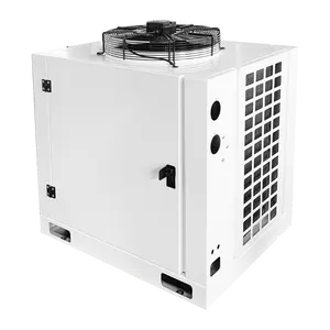 Unità di condensazione ad alta efficienza unità di refrigerazione unità di Condensinng raffreddato ad aria unità di condensazione