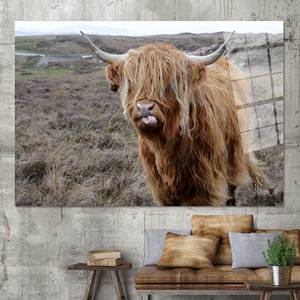 Impression sur toile de bovins des Highlands : Décoration murale rustique pour ferme, ART SUR VERRE TÉRMÉRÉ - Product Image 1