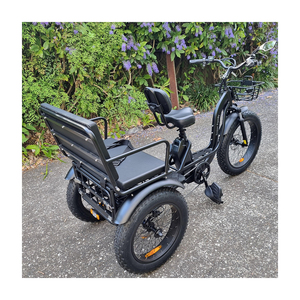 Tricycle à passagers haut de gamme avec moteur électrique puissant, organisé pour l'approvisionnement en gros et les commandes importantes - Product Image 6