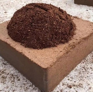 Turba de coco de alta calidad libre de residuos de metales pesados y pesticidas perfecto para todos los cultivos-LOTO AZUL de Vietnam - Product Image 6