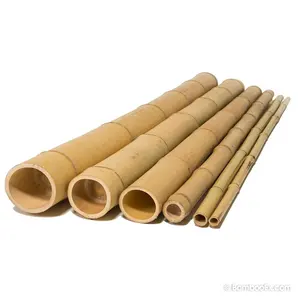 Vietnam High Quality Bamboo Stalks Green and Dried Fumigated Bamboo for Construction Decoration