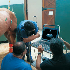 Ecógrafo Doppler Color Digital Portátil y Duradero SonoScape S8 ExpV con una Sonda S8 Exp para Clínica Veterinaria y Hospital - Product Image 6