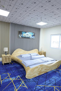 Contreplaqué en pin CDX de construction standard A2 E0, 1220x2440x18mm, panneaux en bois dur écologiques, surface polie et résistants à l'eau - Product Image 6