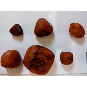 Calculs biliaires de bœuf calculs biliaires de bovins calculs biliaires de vache - Product Image 6