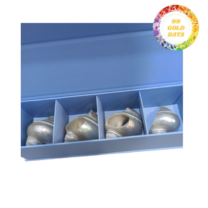 Handcrafted Seashell <b>Napkin</b> Rings Bulk for Summer Beach Party Event Decorations and Favors Summer Beach <b>Napkin</b> <b>Holder</b> - Product Image 3
