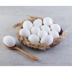 Farm Fresh Table <b>Eggs</b> Organic Brown and White Poultry <b>Eggs</b> Bulk Wholesale Export - Product Image 6