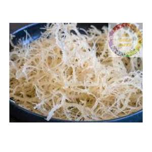 สาหร่าย Eucheuma cottonii แบบแห้งแดดธรรมชาติส่งออกจากโรงงานที่เชื่อถือได้ - Product Image 3