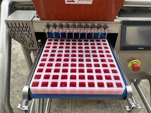 Production automatique de bonbons gélifiés CXM <span class=keywords><strong>avec</strong></span> cuiseur et déposeur de bonbons intégré, doté de fonctions de cuisson et de démoulage - Product Image 2
