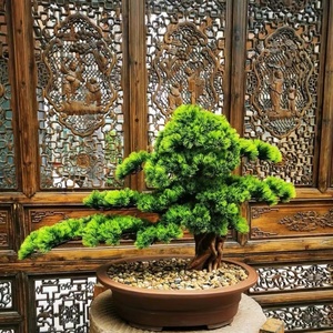 Planta bonsái de madera seca personalizada, hoja de árbol artificial colorida para decoración interior del hogar para Acción de Gracias y Navidad - Product Image 3