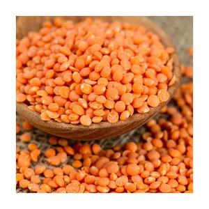 ถั่วเลนทิลแดงใหม่ คุณภาพสูง ออร์แกนิค บรรจุภัณฑ์แบบขายส่ง ของขวัญสุดพิเศษ สไตล์ OEM - Product Image 5