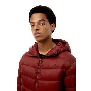 Chaqueta Acolchada con Capucha para Hombre, Logotipo Personalizado, Venta al Por Mayor de Fábrica 2025, Transpirable, Invierno, Tela de Alta Calidad, Nueva Moda, Precio Razonable - Product Image 3
