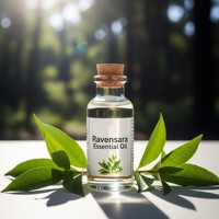 Vente en gros d'huile essentielle de Ravensara Huile de Ravensara de qualité thérapeutique biologique pure à 100% ° pour diffuseur Soins de la peau