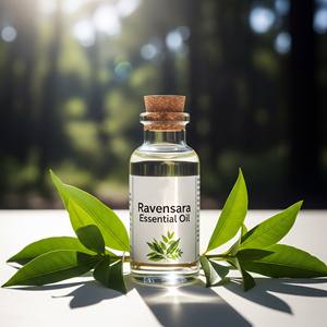 Venta al por mayor de aceite esencial de Ravensara 100% ACEITE DE Ravensara de grado terapéutico orgánico puro para difusor cuidado de la piel - Product Image 2