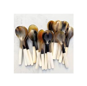 Cuillère en corne de buffle naturelle durable de conception classique et poignée en os 6/12/24 pièces de cuillère ensemble disponible toutes les tailles décoration - Product Image 1