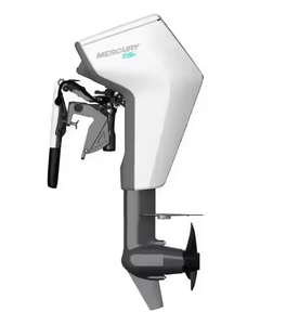 Moteur hors-bord électrique personnalisable Marine Avator-7.5ESH, garantie 3 ans, pour usage industriel DIY, OEM/ODM pris en charge, origine Chine - Product Image 1