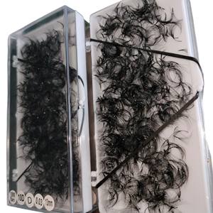 Nouveau chaud coréen PBT Fiber Lashes 1000 Box Collection Extension facile 0.03mm 0.20mm 8D 9D 10D Loose Promade Fans Extensions de cils - Product Image 2