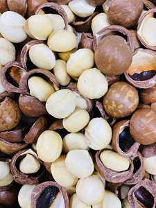 NUEZ DE MACADAMIA CRUDA DE CALIDAD SUPERIOR DE VIETNAM AL MEJOR PRECIO DEL MERCADO - Product Image 5